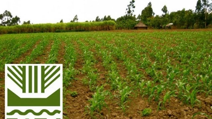 Αποζημιώσεις ΕΛΓΑ: Πότε και πόσα θα δοθούν